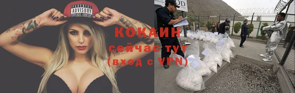 гашиш Пересвет