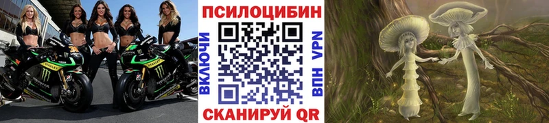Галлюциногенные грибы Psilocybine cubensis  Энгельс 