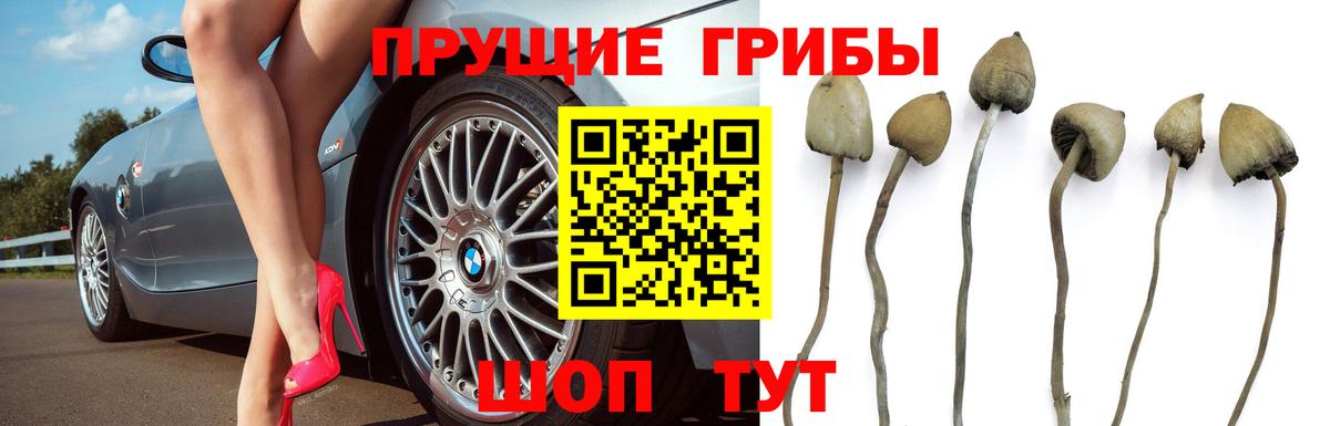 Галлюциногенные грибы ЛСД Энгельс